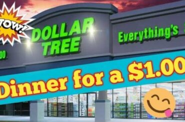 Dollar Dinner ideas! while on a budget!