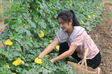 Harvest Sponge Gourd & Pumpkin For My Recipe / Easy & Healthy Food / Prepare By Countryside Life TV