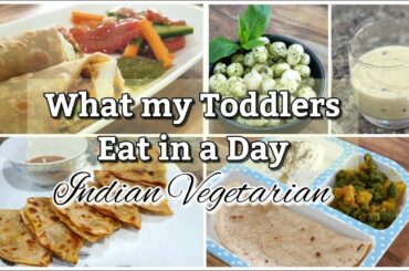 What my Toddler Eats in a Day | Picky Eaters Indian Vegetarian Toddler Meal Ideas