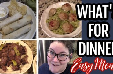 What’s for Dinner? | Easy & Budget Friendly Family Meal Ideas | January 2020 | Bits And Beitz