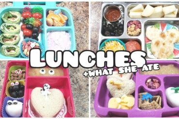 Bento styled school lunches +what she ate - Bella Boo's Lunches