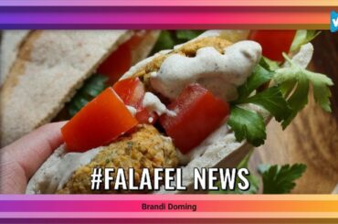 Top 10 #falafel Posts & Ideas, Starring: thevegan8