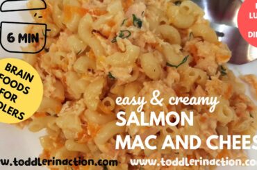 Toddler Meal Ideas for lunch or dinner,  Salmon Mac and cheese