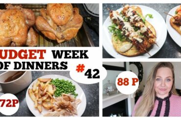 LARGE FAMILY FRUGAL DINNERS #42 / BUDGET FAMILY MEAL IDEAS / WHAT'S FOR DINNER ?