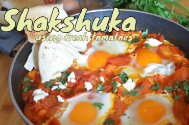 HOW TO MAKE SHAKSHUKA (I USED FRESH TOMATOES) | HEALTHY RECIPE (RECIPE #30)