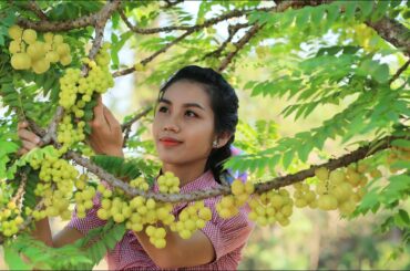 Cooking Surette Cochon fruit with fish salad in my homeland - Polin Lifestyle
