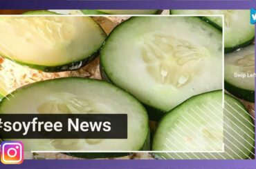 Top 10 #soyfree Posts & Ideas, Starring: noglutenplease_