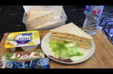 CHEESE MAYO SANDWICH with Salad Very Healthy Option Easy Recipe Quick Snack Meal Good Food
