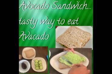 Avocado Sandwich Recipe || Avocado Sandwich for Diet || Avocado Sandwich, Vegan|| Instant Breakfast