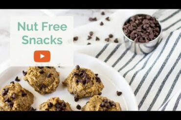 6 Healthy Nut Free Snacks Using Sunbutter