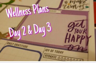 Wellness Plans Day 2 &  3 | Meal Ideas Footage