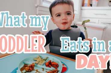 WHAT MY TWO YEAR OLD EATS IN A DAY + TODDLER MEAL IDEAS