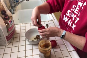 Low Calorie Dog Treat Idea