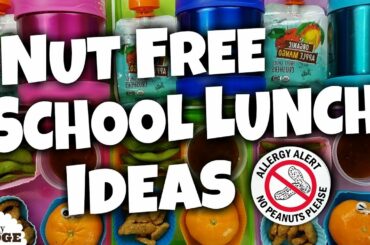 6 NUT FREE School Lunch Ideas  🍎 Bunches Of Lunches FAVORITES