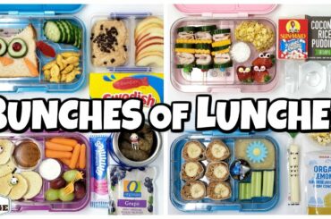 NEW LUNCH BOXES! 🍎 Fun Lunch Ideas