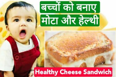 Best Lunch Box Recipe for Kids || Plain Cheese Sandwich || Yummy Cheese Sandwich for kids