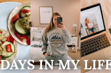 VLOG: working from home, healthy recipes, & blog updates
