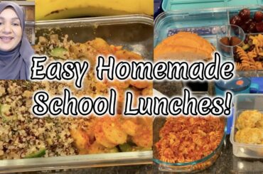 Week of School Lunches - January 2020 - Easy Homemade Lunch Ideas