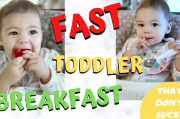 3 FAST Toddler BREAKFAST Ideas for BUSY Mornings | Vegan Breakfast
