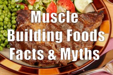 Muscle Building Foods Facts & Myths (700 Calorie Meals) DiTuro Productions