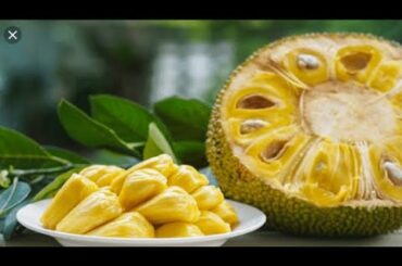 JACKFRUIT HEALTH BENEFIT