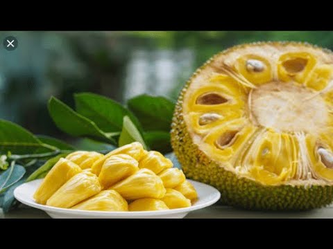 JACKFRUIT HEALTH BENEFIT JACKFRUIT HEALTH BENEFIT