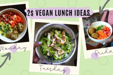 A WEEK OF VEGAN LUNCHES: 2$ Vegan Lunch Ideas for College Students! | veggieonpennies