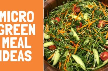 Microgreen Meal Ideas