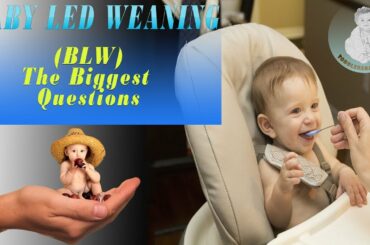 Baby Led Weaning | The Biggest Questions