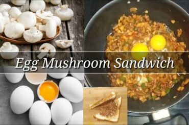 Egg Mushroom Sandwich || Kid's Lunchbox Recipes || Healthy Breakfast Recipe