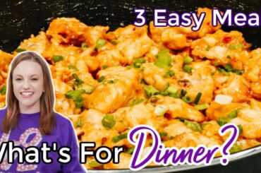 WHAT'S FOR DINNER? | EASY DINNER IDEAS | SIMPLE FAMILY MEALS | NO. 47