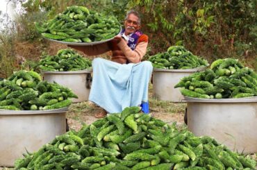 Healthy Bitter Gourd Recipe | Special Bitter Gourd Curry By Grandpa for Kids