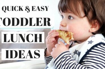 TODDLER MEAL IDEAS | LUNCH IDEAS FOR TODDLERS