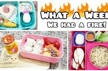 Bento Style School Lunches PLUS What She ATE! - Bella Boo's Lunches