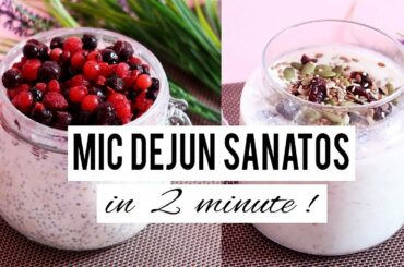 UN MIC DEJUN SANATOS IN 2 MINUTE ! / HEALTHY  BREAKFAST IDEAS ! [HD]