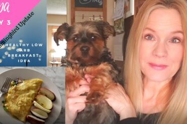 VEDA Day 3 | Hummingbirds, Low Carb Healthy Breakfast Idea