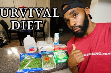 Low Calorie Fat Loss Diet For Contest Prep