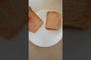 Food tutorials. Yummy yummy sandwich