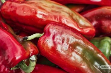 HOW TO COOK DELICIOUS HEALTHY MEALS UNDER BUDGET