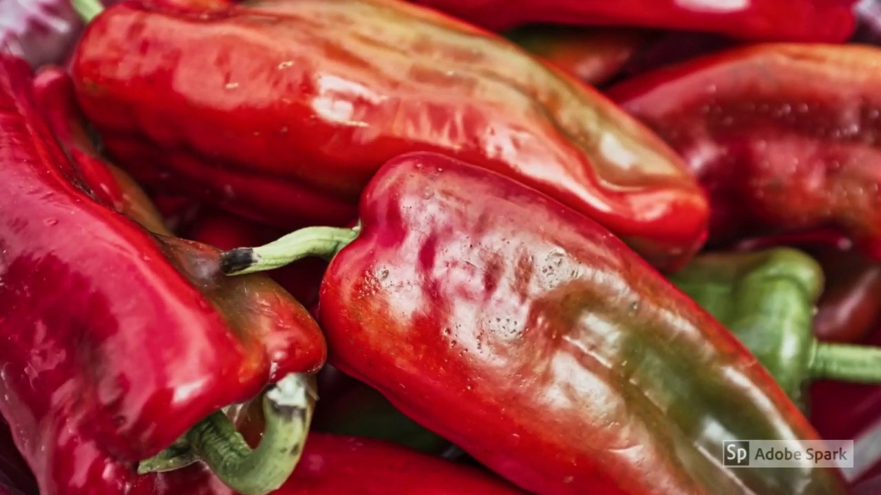 HOW TO COOK DELICIOUS HEALTHY MEALS UNDER BUDGET HOW TO COOK DELICIOUS HEALTHY MEALS UNDER BUDGET