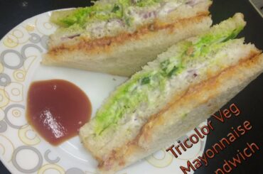 Tricolor Veg Mayonnaise Sandwich Recipe - वेज मायो सेंडवीच रेसीपी बनाने की विधि #tricolorsandwich