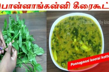 Ponnanganni Keerai Kottu in tamil|ponnanganni keerai recipe in tamil|thamils healthy kitchen|tamil