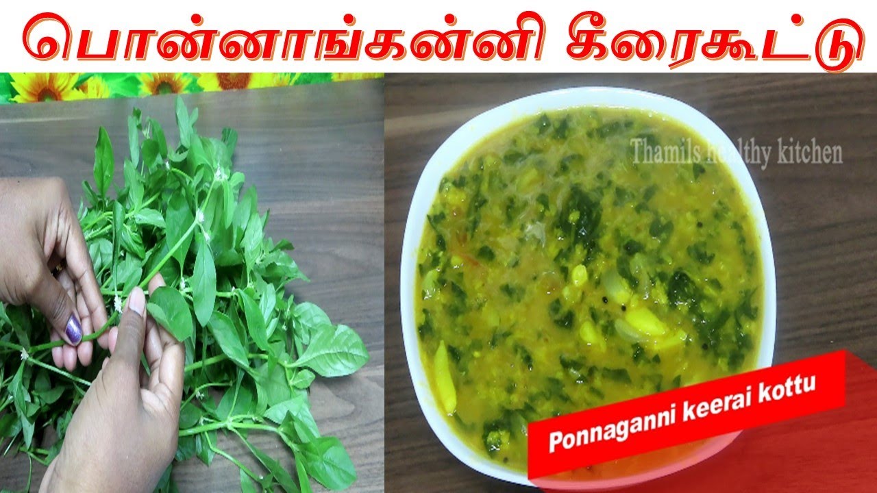 Ponnanganni Keerai Kottu in tamil|ponnanganni keerai recipe in tamil|thamils healthy kitchen|tamil Ponnanganni Keerai Kottu in tamil|ponnanganni keerai recipe in tamil|thamils healthy kitchen|tamil