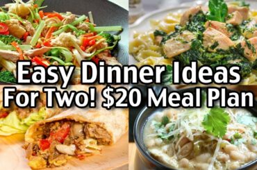 Easy Dinner Ideas For Two! $20 Weekly And Delicious!