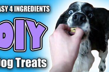 HEALTHY HOMEMADE DOG TREATS