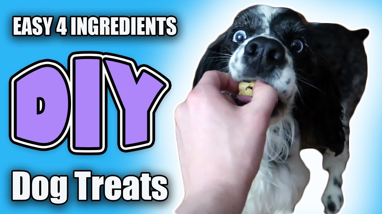 HEALTHY HOMEMADE DOG TREATS HEALTHY HOMEMADE DOG TREATS