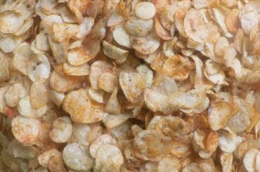 Potato Chips Making - Quick And Easy Snacks To Make At Home | Aloo Chips