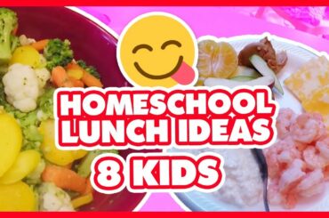 Homeschool Lunch Ideas | Homeschool Mom Day in the Life (8 Kids)
