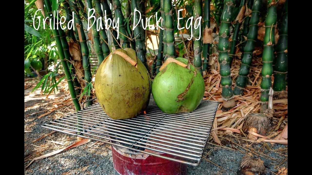 Grilled Baby Duck Egg with Coconut Water/Healthy Natural Recipe Grilled Baby Duck Egg with Coconut Water/Healthy Natural Recipe