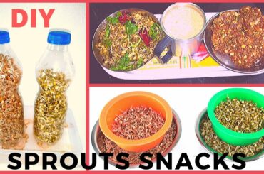 How to Grow Sprouts Faster | Simple, Healthy & Tasty Sprouts Snacks Recipes